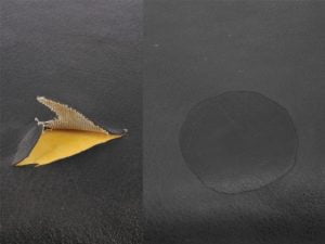 Zadels en accessoires