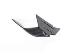 Ilmberger kuip winglet M 1000 RR - rechts - carbon