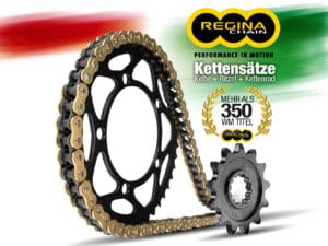 Regina 525-ZRPO kettingkit 124 schakels - goud - goud